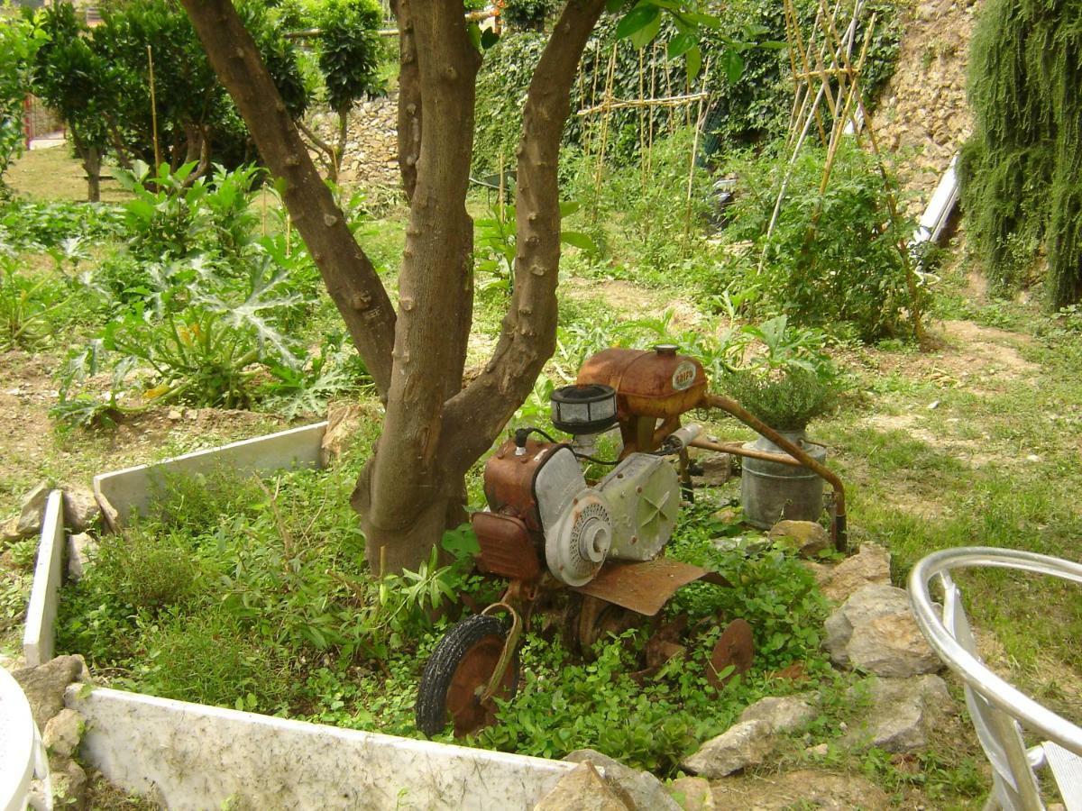 La Dolce Vita B&B Noli Exterior foto